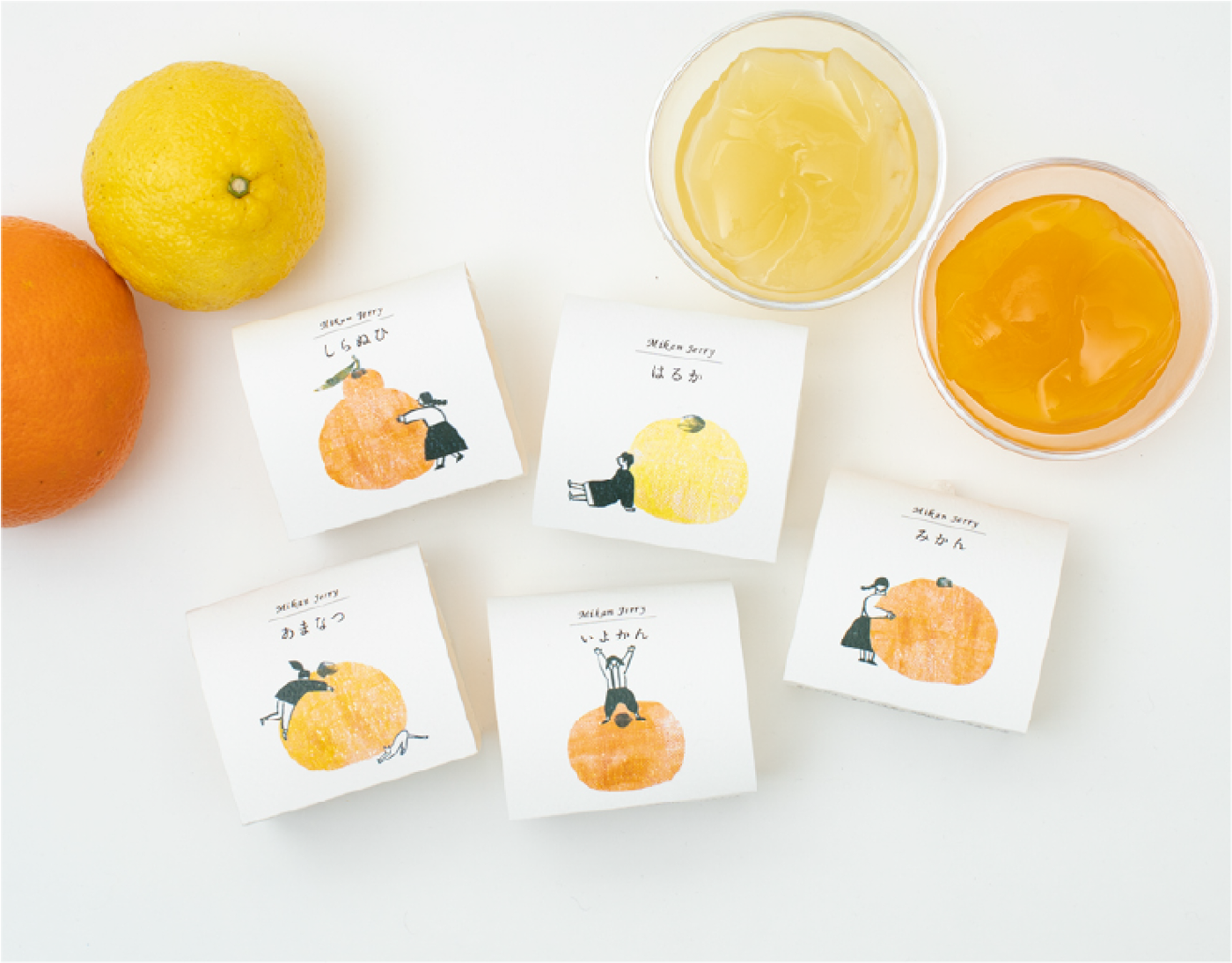 みかんの木パッケージ